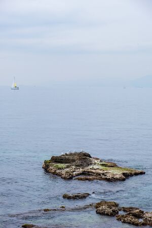Seagulls sitting on the rock in the blue sea water on a misty day with sailboat in the distance. Vertical image with Copy space. Travel, vacation, freedom conceptの写真素材