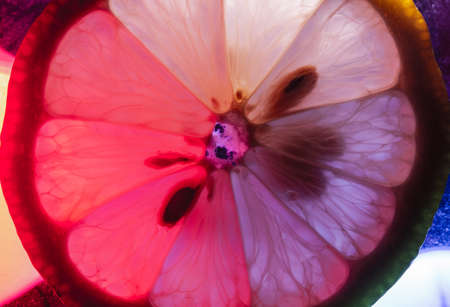 A thin lice of lemon macro capture, colorfully illuminated and back litの写真素材