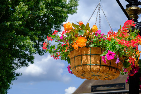 Colorful flower pot suspended in the air with small chains with the sky in the backgroundの写真素材