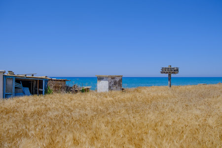 Abandoned wooden pigeon nest and other construction in a barley field overlooking the sea at Argaka village in Cyprusの写真素材