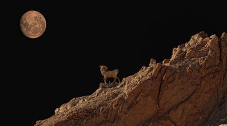 Atlas mountainsの写真素材