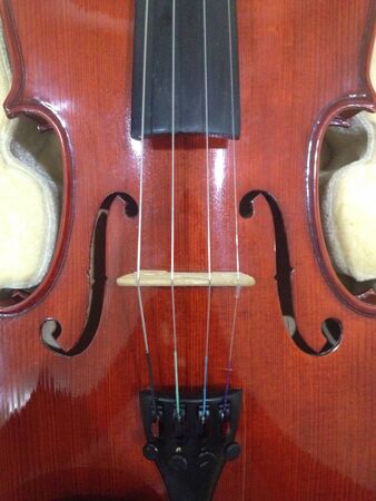 My violinの素材