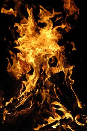 Burning fire in a fireplace