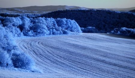 Landscape in infra red spectrumの写真素材