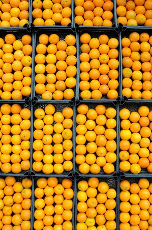 Fresh oranges on the market placed in boxesの写真素材