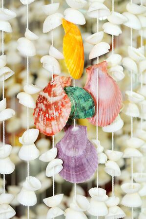 Decoration with many different seashellsの写真素材