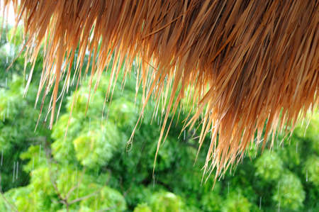 Drops of water falling down to straw roofの写真素材