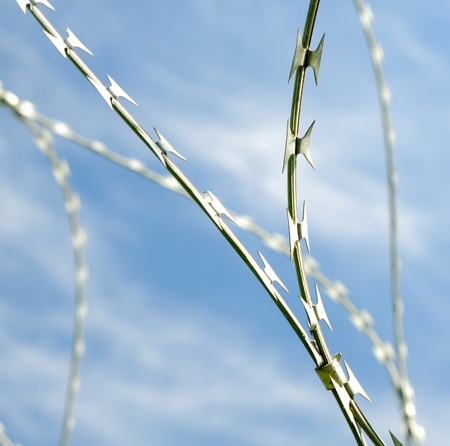 Barbed wire against a blue skyの写真素材