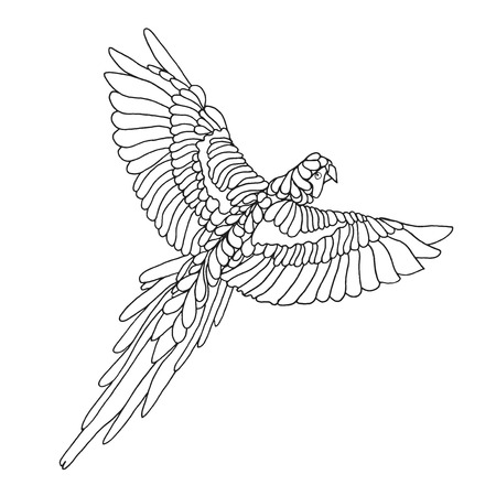 Zentangle stylized macaw parrot. Birds. Black white hand drawn doodle. Ethnic patterned vector illustration. African, indian, totem tatoo design. Sketch for tattoo, poster, print or t-shirt.のイラスト素材