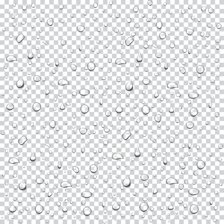 Transparent drops background. Realistic water rain drops vector. Condensed droplets. Illustration for your design and business.のイラスト素材