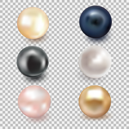 Set of beautiful shiny sea pearlのイラスト素材