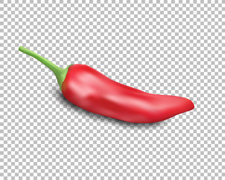 Red hot natural chili pepper pod realistic image with shadow illustration. Design for grocery, culinary products, seasoning and spice package, recipe web site decoration, cooking book.のイラスト素材