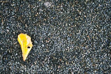 pebbleの写真素材