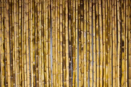 Bamboo stick backgroundの写真素材