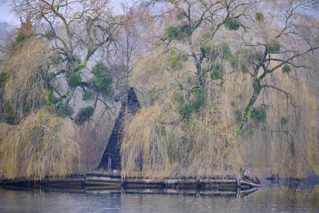 Close-up view on the island of the pond with its small houseの写真素材