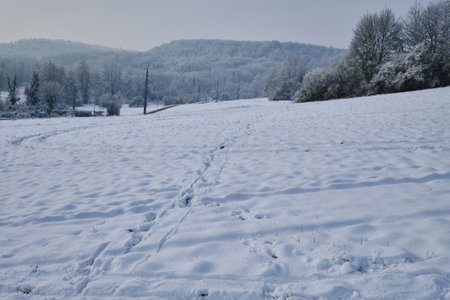 Snowy landscape in the plainの写真素材