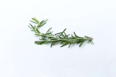 Rosemary branch. Isolated on white. Selective focus.の写真素材
