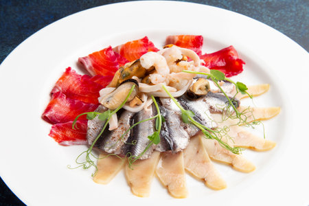 Assorted fish slices on a plate on a dark background. Selective focus.の写真素材