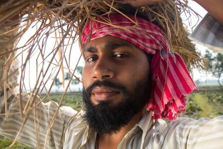 Indian Farmer Carrying Bundle of Paddy Cropの写真素材
