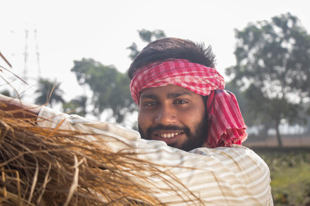 Indian male farm worker harvesting the rice cropの写真素材
