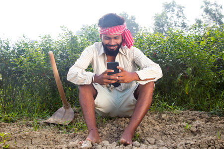 Indian Young Farmer Using Smart Phone Sitting in their agriculture fieldの写真素材