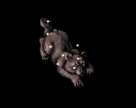 Constellation The Little Bear (Ursa Minor) の写真素材