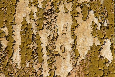 cracked old paint