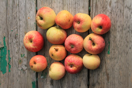 Apples on wooden bench