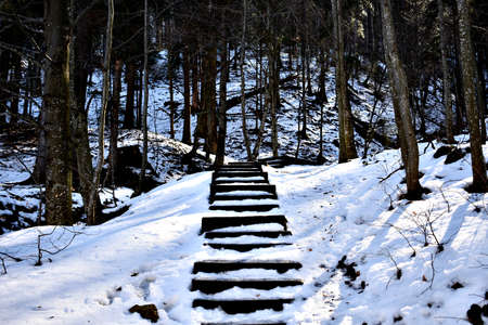 Frozen stairs in a forest somewhere in Romania.