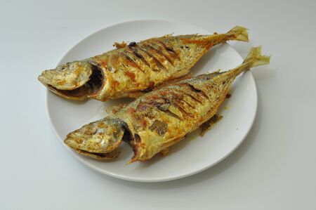 yellow scad fry fish isolated white backgroundの写真素材