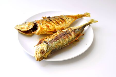 yellow scad fry fish isolated white backgroundの写真素材