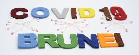 CONCEPT COVID-19 PENDAMIC  The coronavirus COVID-19 is affecting 210 countries include Brunei. White background and some blur effect. Colourful felt Text .の写真素材