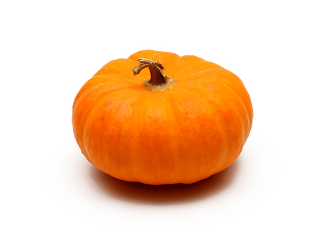 Pumpkin Isolated on a White Backgroundの写真素材