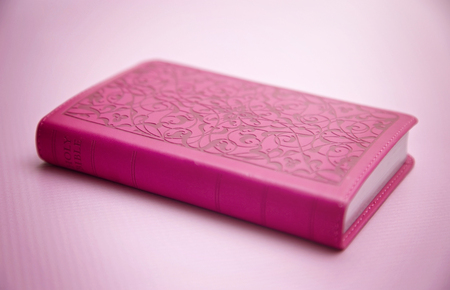 A Pink Bible on a Pink Background - Women Studying the Wordの写真素材