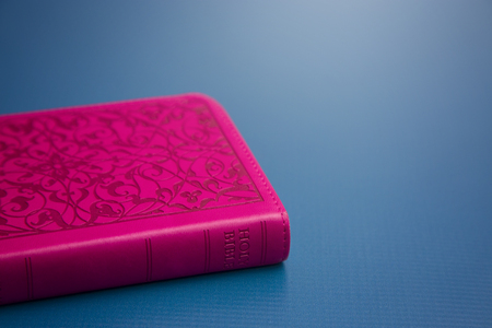 Closed Pink Bible on a Blue Background