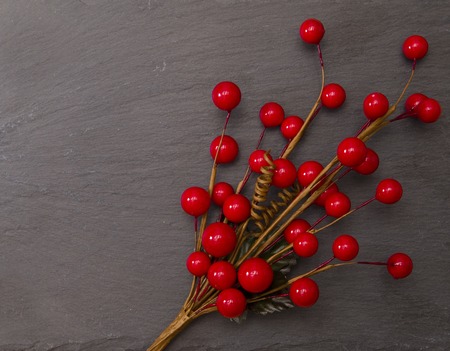 Holly Berriesの写真素材