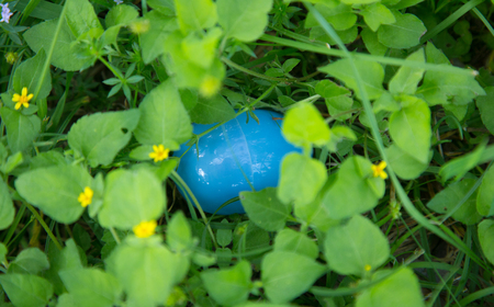 A Hidden Easter Egg ready to be Hunted の写真素材