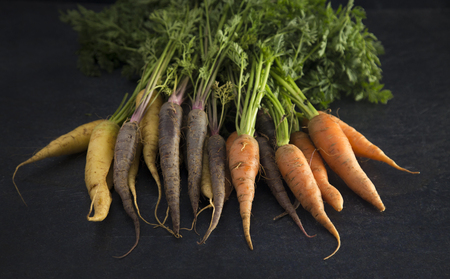 Three Variety of Carrots on a Slate Countertopの写真素材