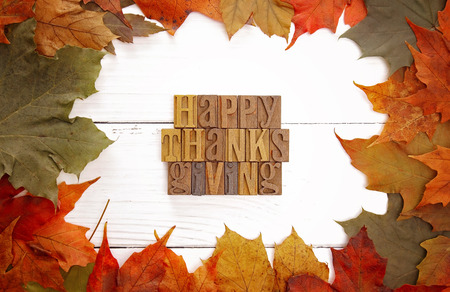A Thanksgiving Themed Background with Read Fall Leaves