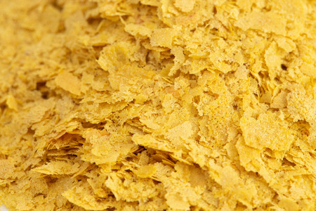 Flakes of Yellow Nutritional Yeast a Cheese Substitute and Seasoning for Vegan Cookingの写真素材