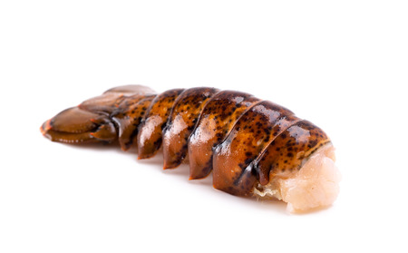 Raw Lobster Tales Isolated on a White Backgroundの写真素材