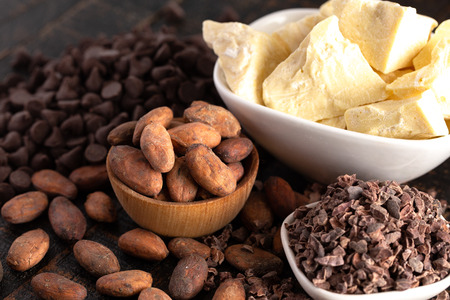 Various Stages of Chocolate Production Cocoa Nibs Cocoa Butter Cocoa Beans and Chocolate Chipsの写真素材
