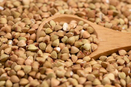 An Up Close Background of Buckwheat Grainの写真素材