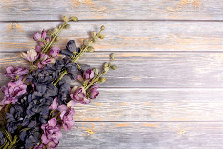 A Background with Copy Space and Purple Flowers on a Rustic Wood Tableの写真素材