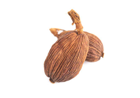 Black Cardamom Pods on a White Backgroundの写真素材