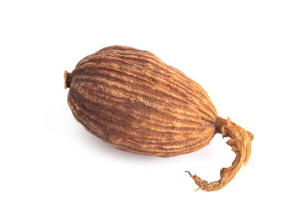 Black Cardamom Pods on a White Backgroundの写真素材