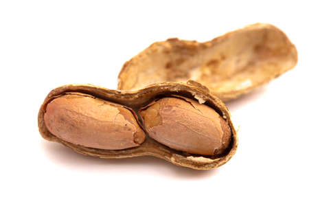 Organic In Shell Peanut Isolated on a White Background