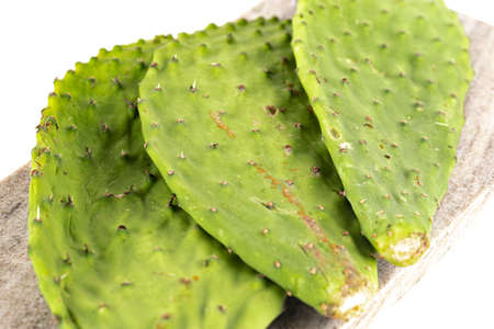 Cactus Paddles Isolated on a White Background