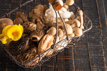 Variet of Fresh Mushrooms on a Rustic Wooden Tableの写真素材