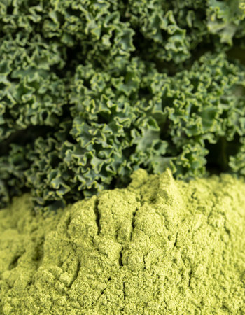 A Macro View of Green Kale Powder and Leavesの写真素材